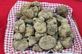 VBS_4269 - Fiera Nazionale del Tartufo Bianco 2024